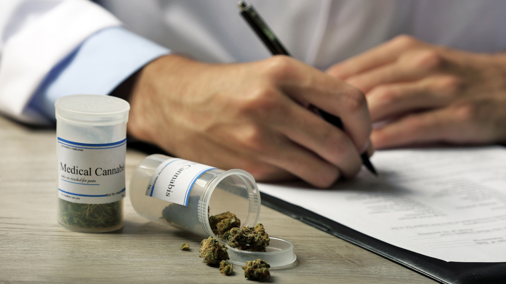 70% of doctors intrigued by cannabis medicine - Sermo